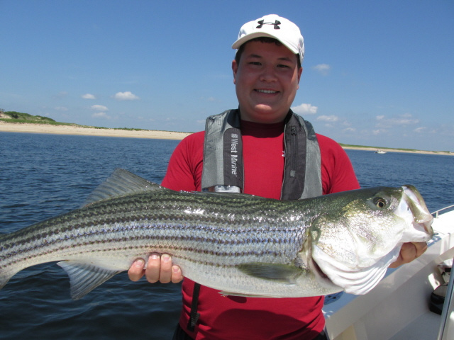 Tommy's prized striper 7-5-13